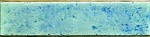 Listello Cristalline Azzurro XX |5x20