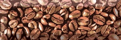Decor Coffee Beans 03 XX |10x30