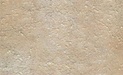 Pantheon (Beige) XX |25x41