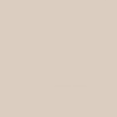 Color RAL 0808010 Sand Matt XXZZ |20x20