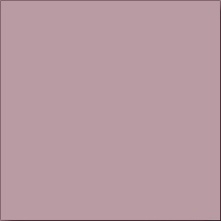 Color RAL 0206005 Whisper Lilac Matt (PN) XX |10x10