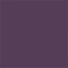 Color RAL 2904015 Plum Matt (PN) XX |10x10