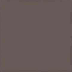 Color RAL 0404005 Basalt Brown Matt (PN) XX |10x10