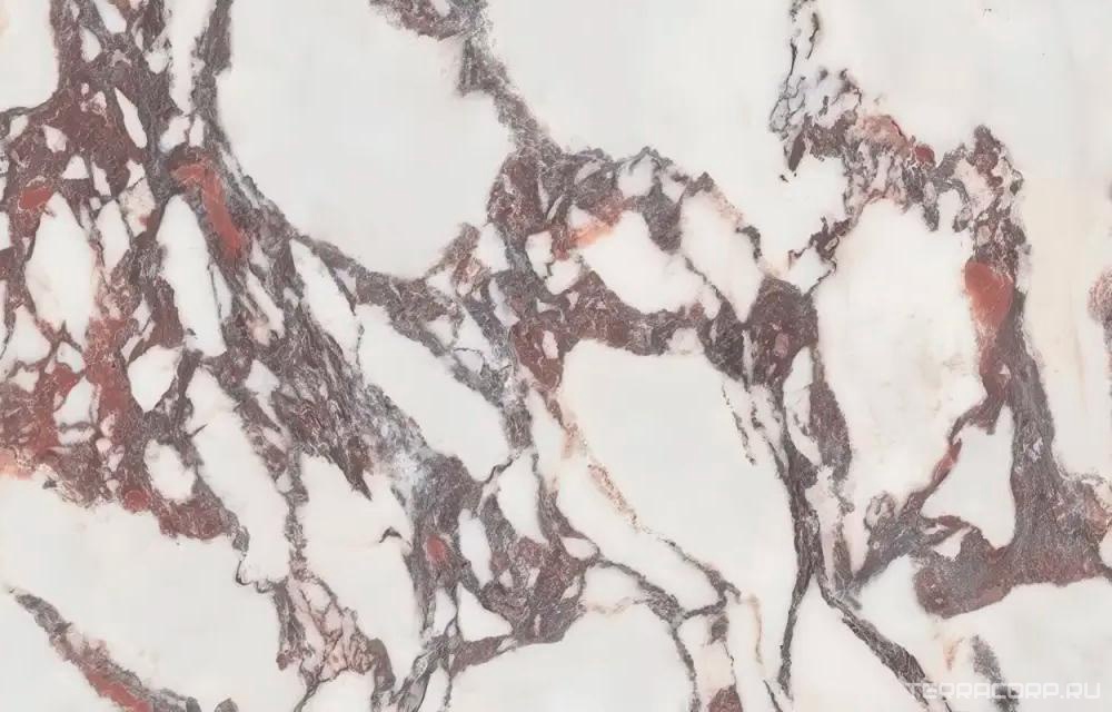 Керамогранит Leopard Calacattal Viola matt 60x120 Комбинированный, фото 1