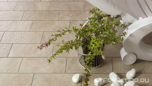 Коллекция Julia