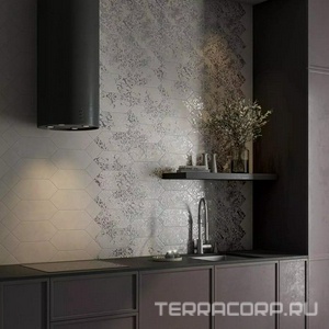 Коллекция Каламита