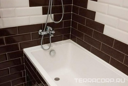 Коллекция olymp