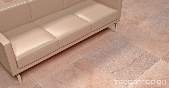 Коллекция Шунут