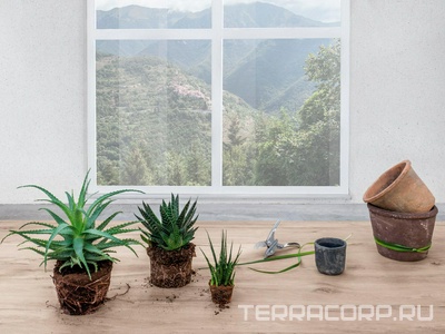 Коллекция Legno Venezia