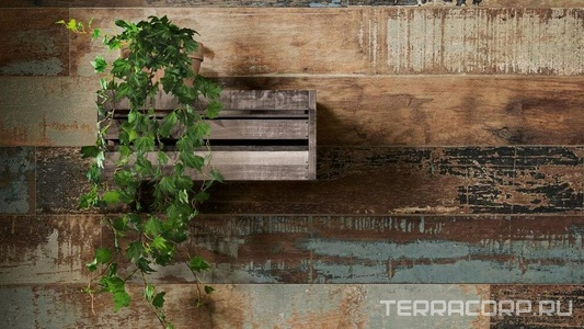 Коллекция Colorart