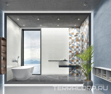 Коллекция galaxy