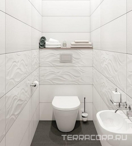 Коллекция Polar