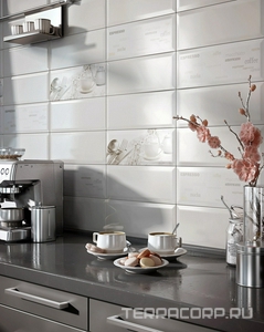 Коллекция Bingo