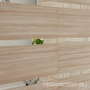 Коллекция Latte