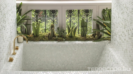 Коллекция Texturas