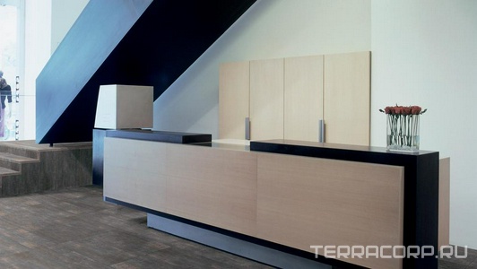 Коллекция Reaction