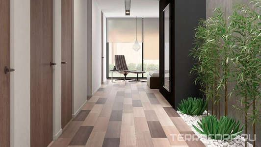 Коллекция Eukalypt