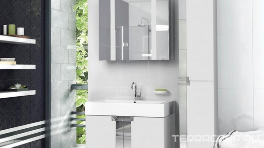 Коллекция Фреш