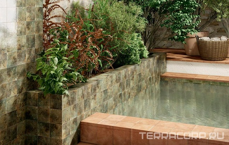 Коллекция Oasis