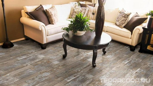 Коллекция Cortex