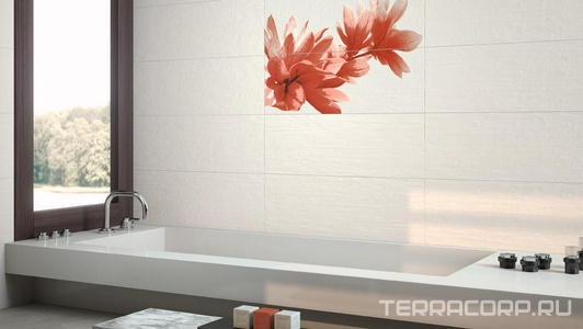 Коллекция Jazz