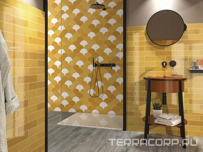 Коллекция Dynamic