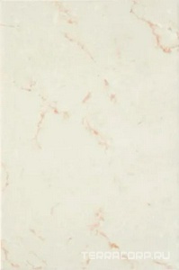 Керамическая плитка Axima Вечер Плитка обл. -1 20x30 Комбинированный 