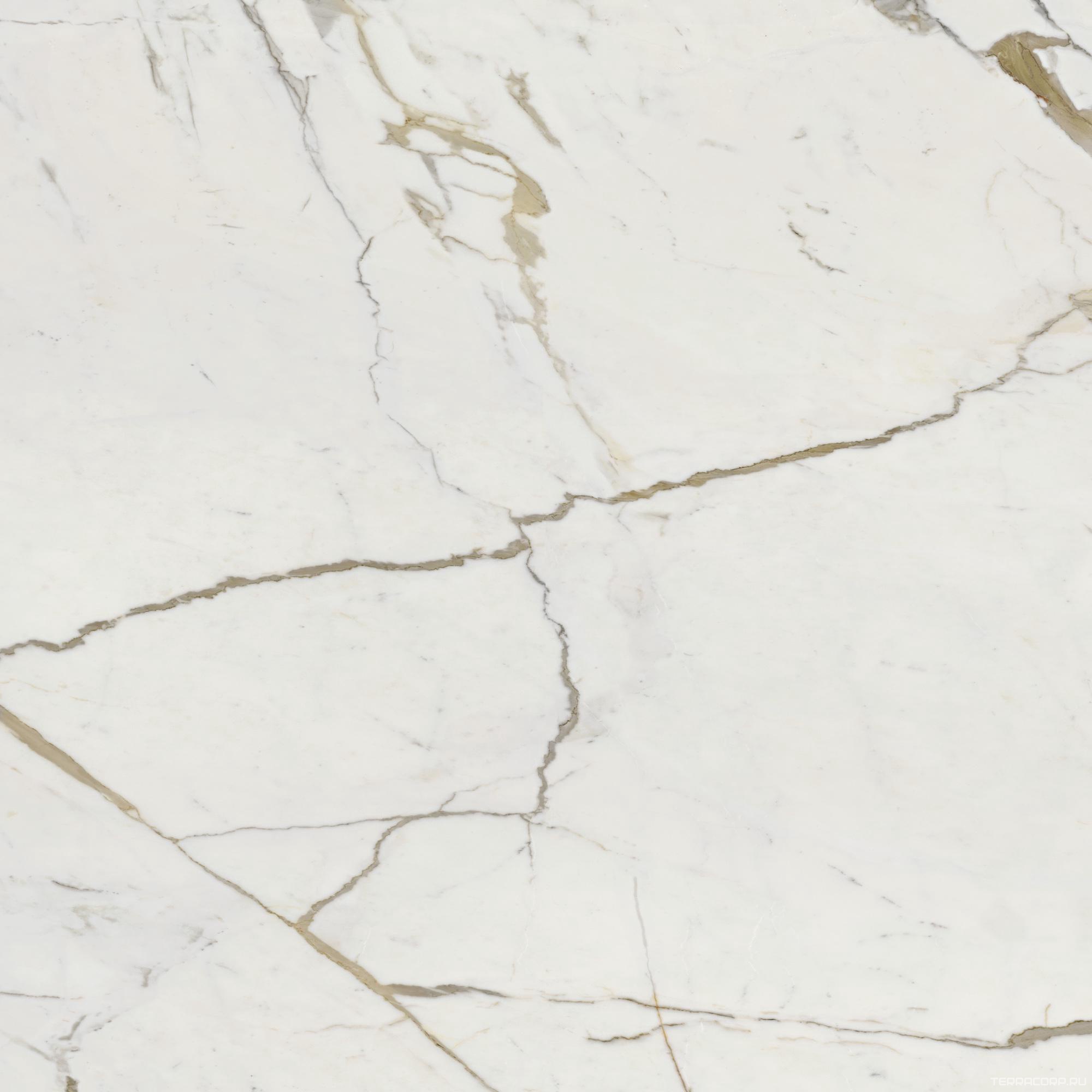 Керамогранит Dado Ceramica Vision Calacatta Oro 120x120 Комбинированный, фото 3