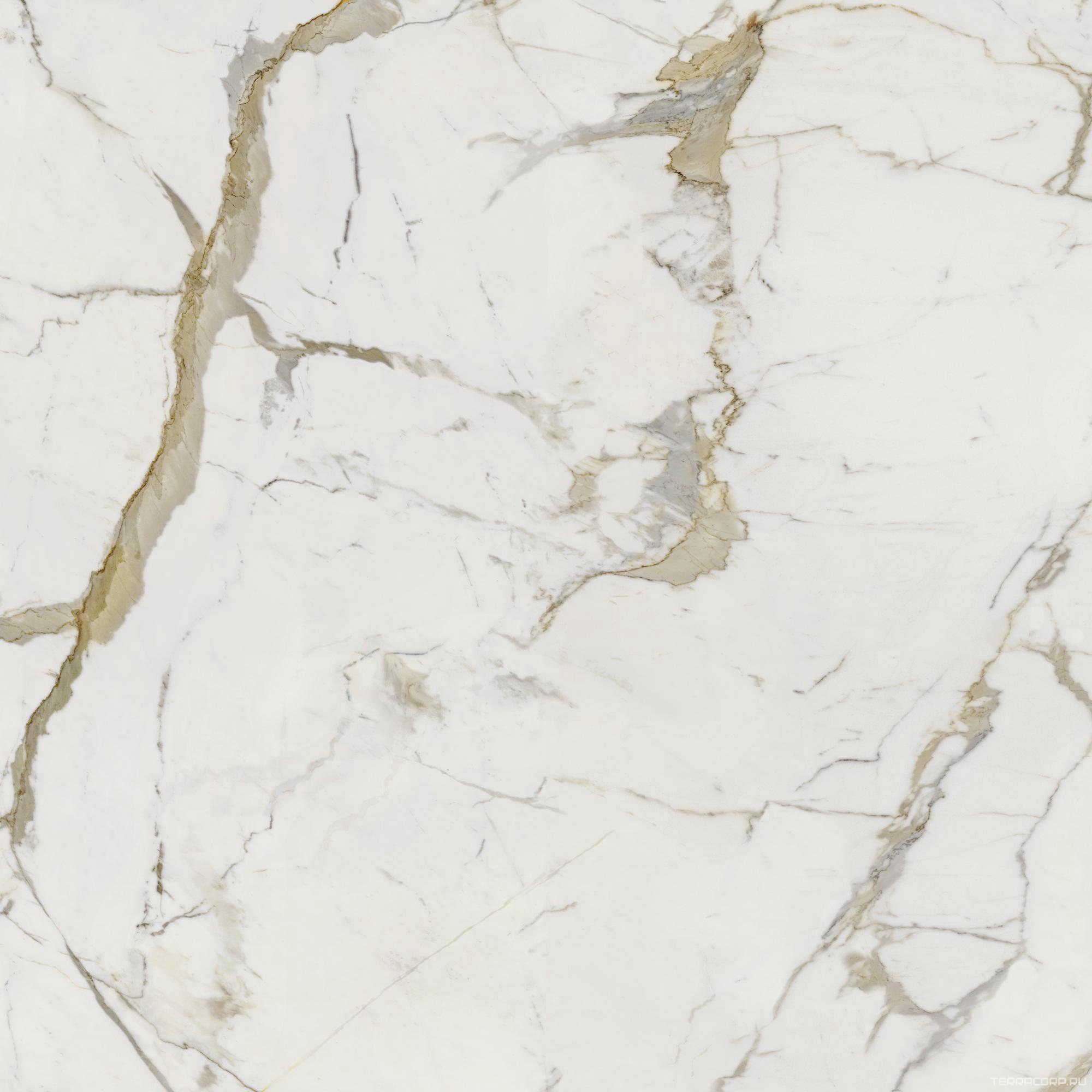 Керамогранит Dado Ceramica Vision Calacatta Oro 120x120 Комбинированный, фото 5