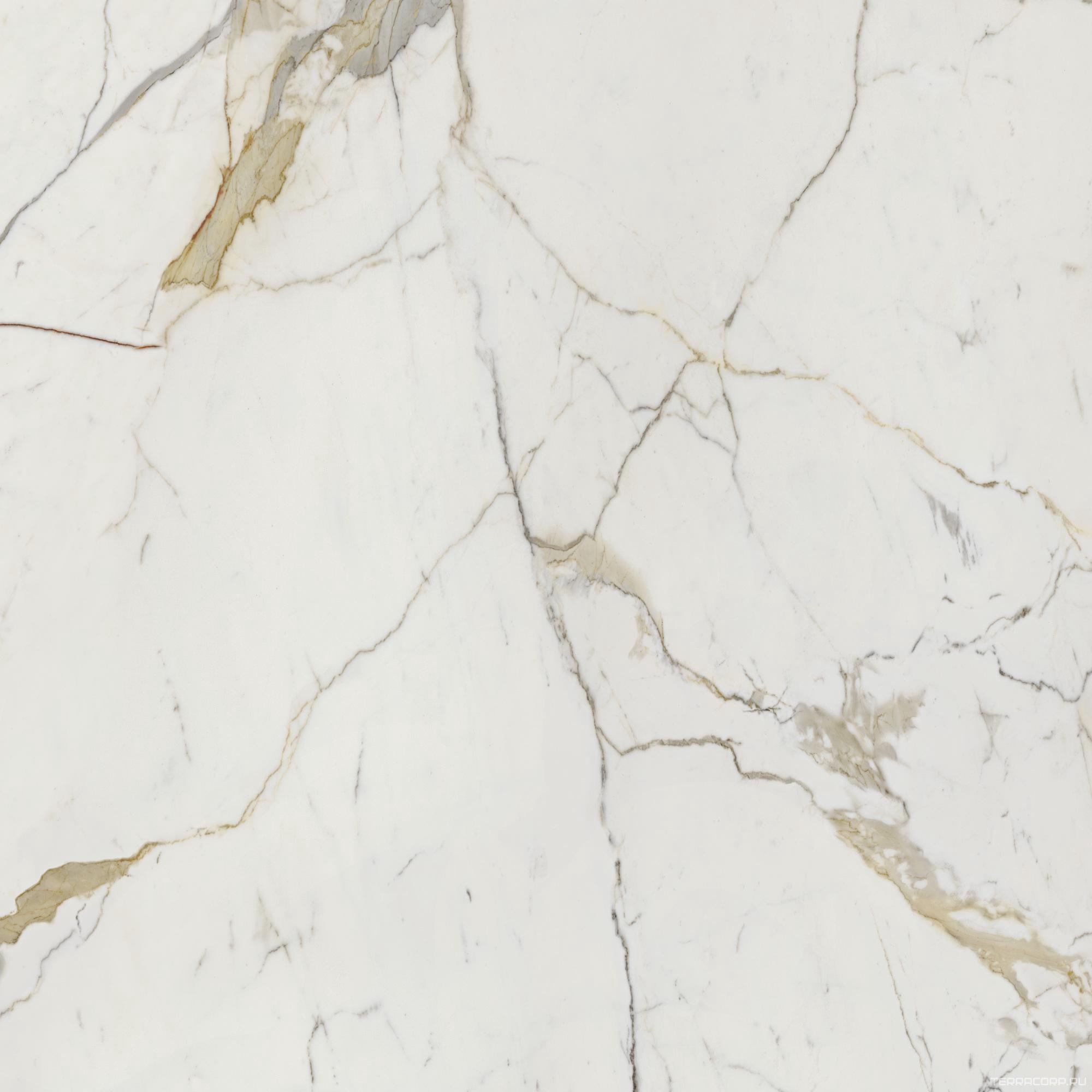 Керамогранит Dado Ceramica Vision Calacatta Oro 120x120 Комбинированный, фото 6
