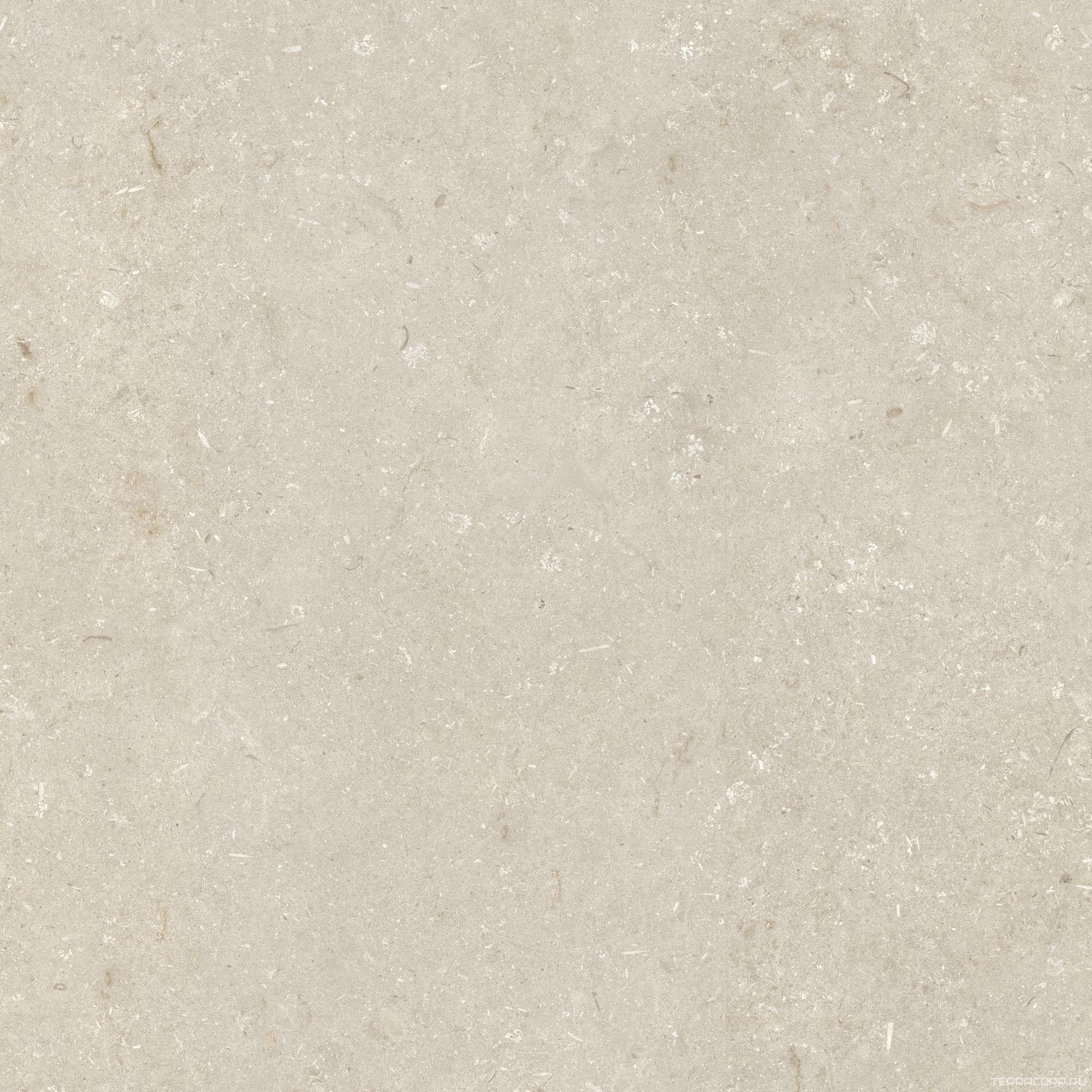 Керамогранит Dado Ceramica Shellstone Beige 120x120 Бежевый, фото 5