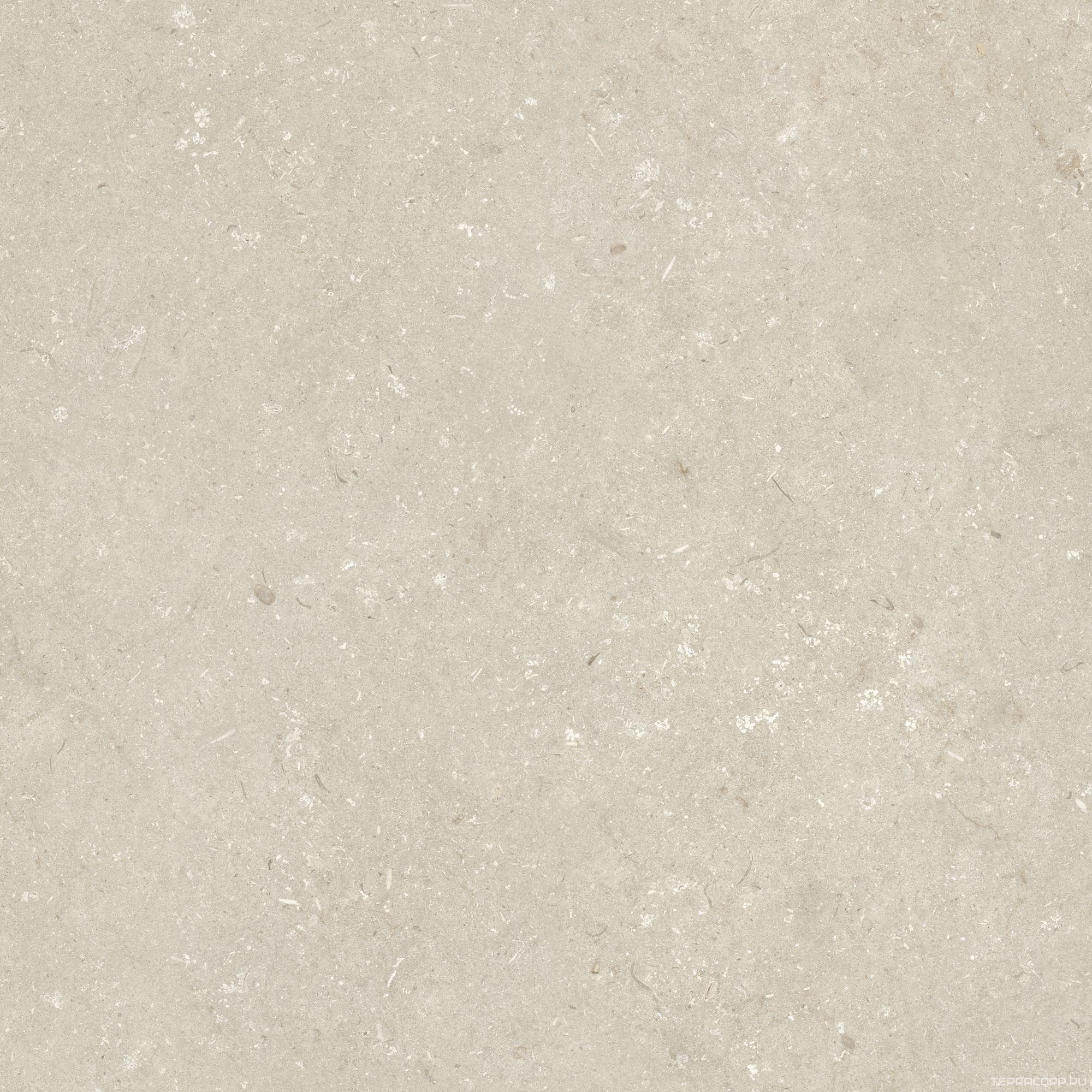 Керамогранит Dado Ceramica Shellstone Beige 120x120 Бежевый, фото 4