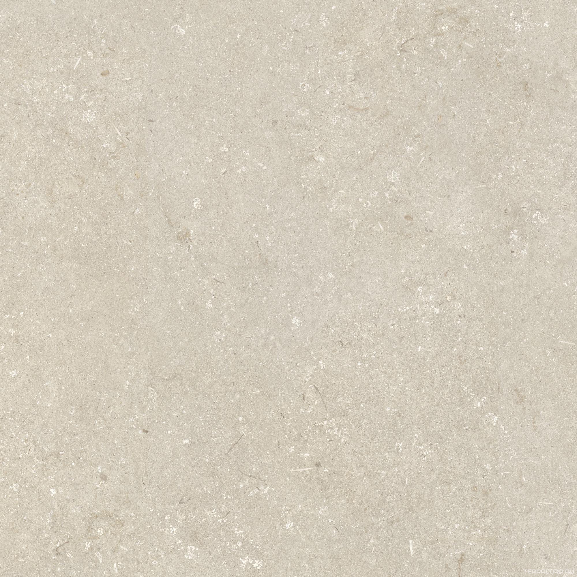 Керамогранит Dado Ceramica Shellstone Beige 120x120 Бежевый, фото 6