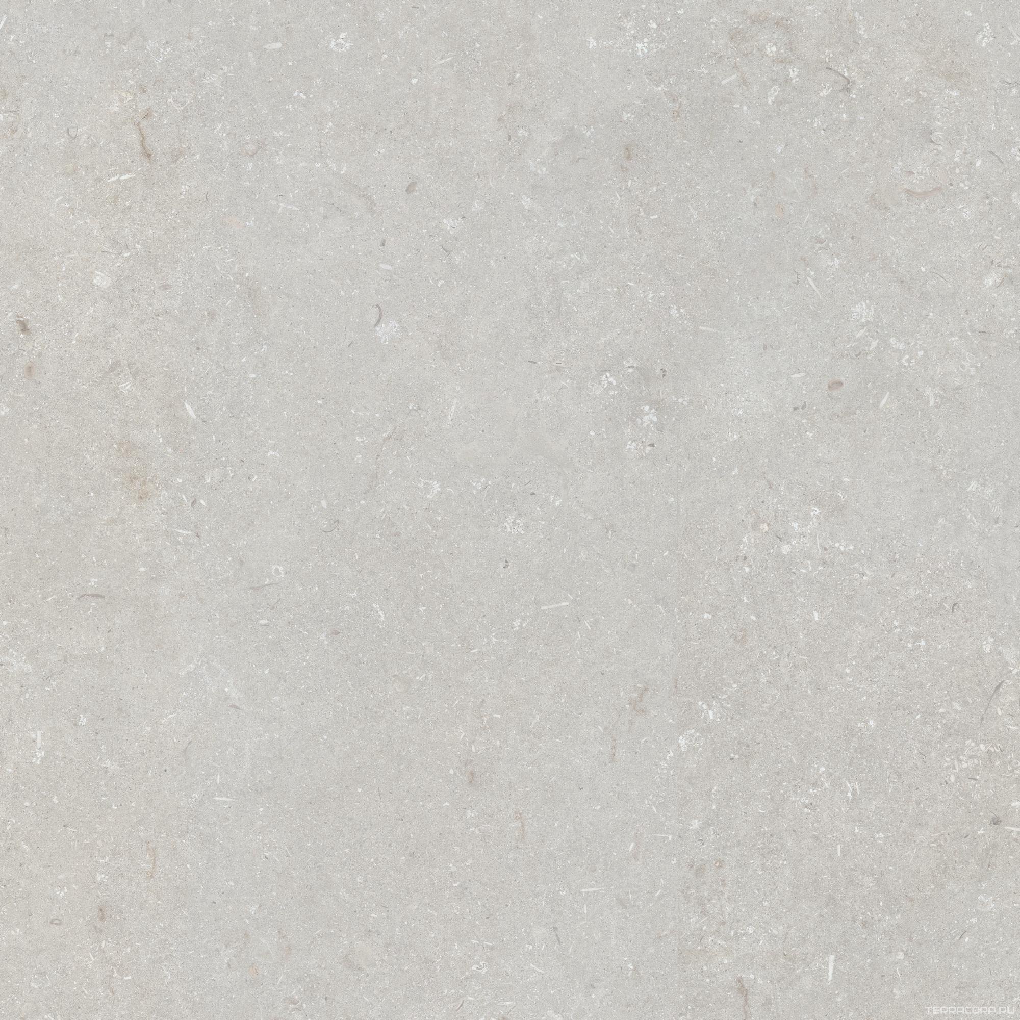 Керамогранит Dado Ceramica Shellstone Bianco 120x120 Белый, фото 6