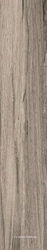 Сeylan Gris Rec NPLus  ZZ |22x118