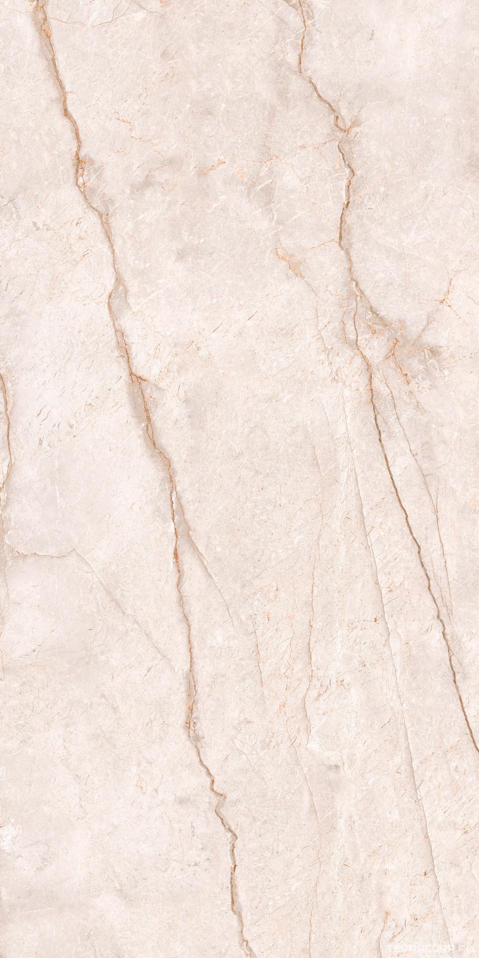 Керамогранит Alpas Euro Premium Marble XL Lithos Bianco Rock Carving 80x160 Белый, фото 4