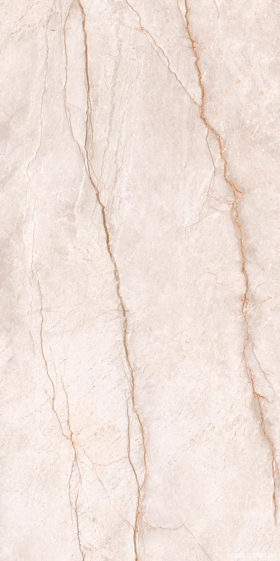 Керамогранит Alpas Euro Premium Marble XL Lithos Bianco Rock Carving 80x160 Белый, фото 7