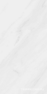 Керамогранит Pamesa CR Lenci Lenci Blanco lev Rect. (п.п.) 60x120 Белый 