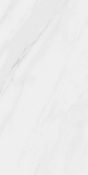 Lenci Blanco lev Rect. (п.п.) |60x120