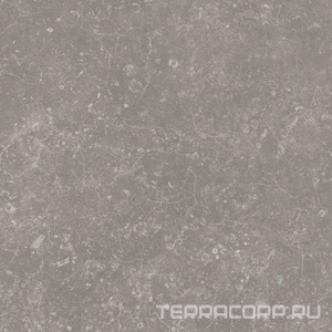 Керамогранит Kerama Marazzi Касабланка  серый матовый 20x20x0,8 Серый 