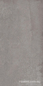 Керамогранит Imola Stoncrete STCR 12G RM  (п.п.) 60x120 Серый 