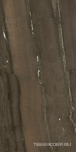 Керамогранит Pamesa CR Lux Cr.Lux Jatoba Brown 6 мм pol/rett  120X260 XX Коричневый 