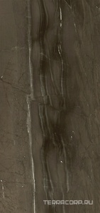 Керамогранит Pamesa CR Lux Cr.Lux Jatoba Brown 6 мм pol/rett  120X260 XX Коричневый 