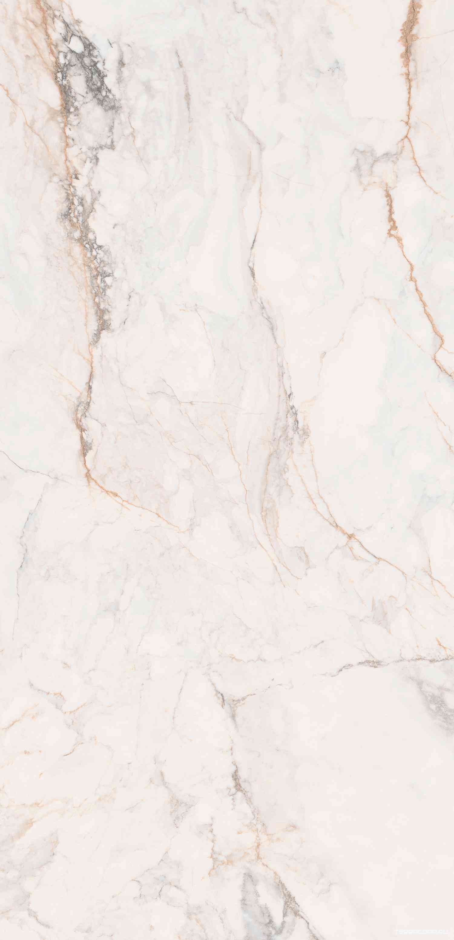 Cr.Pisa Lux 6 мм pol/rett  120X280
