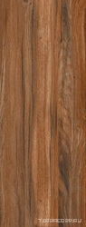 Сeylan Сaoba Rec NPLus  ZZ |45x118