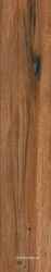 Сeylan Сaoba Rec NPLus ZZ |22x118