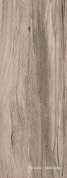 Сeylan Gris Rec NPLus ZZ |45x118