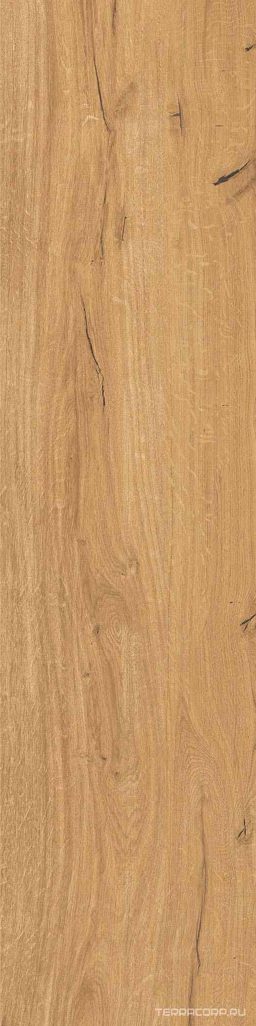 Feelwood Cognac  ZZ 30x120