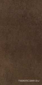Керамогранит Imola Micron 2.0 M2.0 36T 30x60 Коричневый 