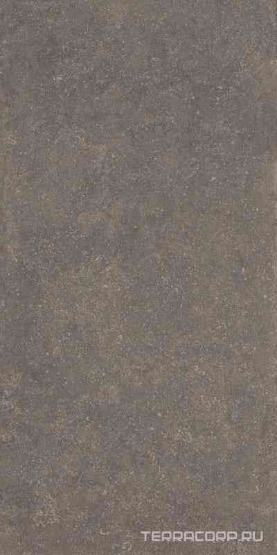 Касабланка HP-G коричневый лаппатированный обрезной 60x119,5x0,9